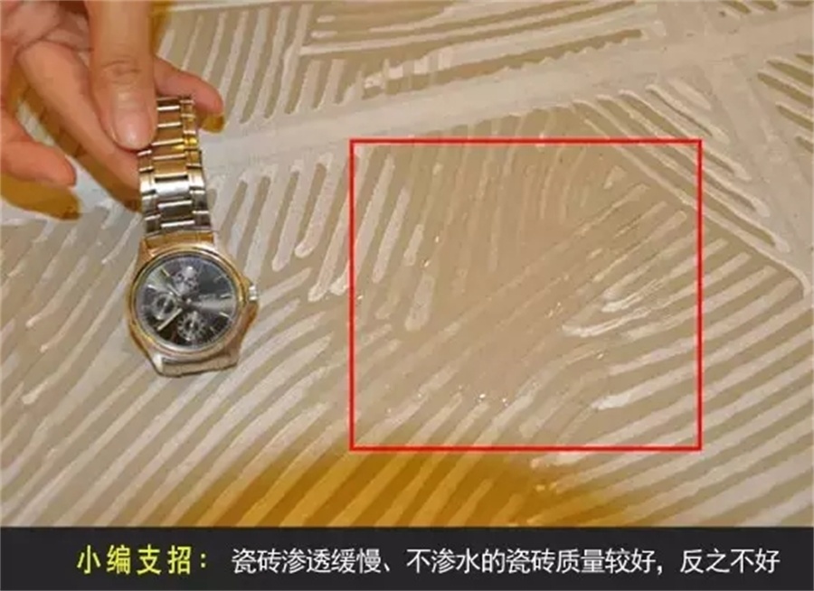 640.webp (10).jpg 640.webp (10).jpg